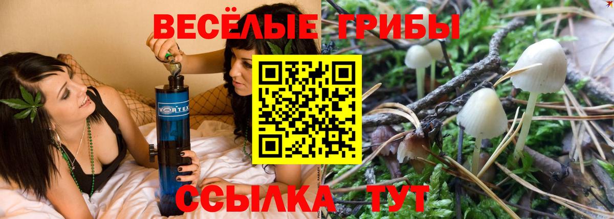 Керчь  Псилоцибиновые грибы прущие грибы  Галлюциногенные грибы прущие грибы  Вход с VPN 